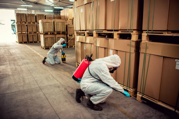 Best Local Pest Control Services  in Mattydale, NY