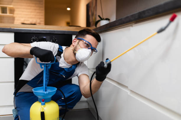 Best Pest Removal Services  in Mattydale, NY