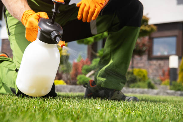 Best Residential Pest Control  in Mattydale, NY