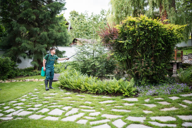 Best Pest Prevention Services  in Mattydale, NY