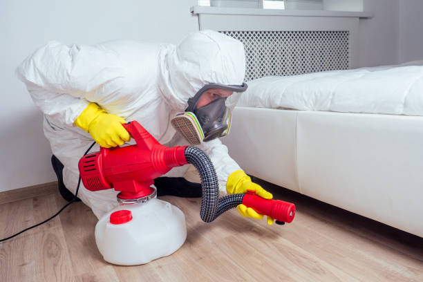 Best Flea Control Services  in Mattydale, NY