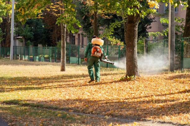 Best Insect Control  in Mattydale, NY